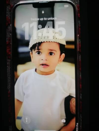 Apple iPhone 13 Pro Max