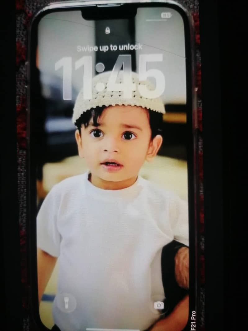 Apple iPhone 13 Pro Max 0