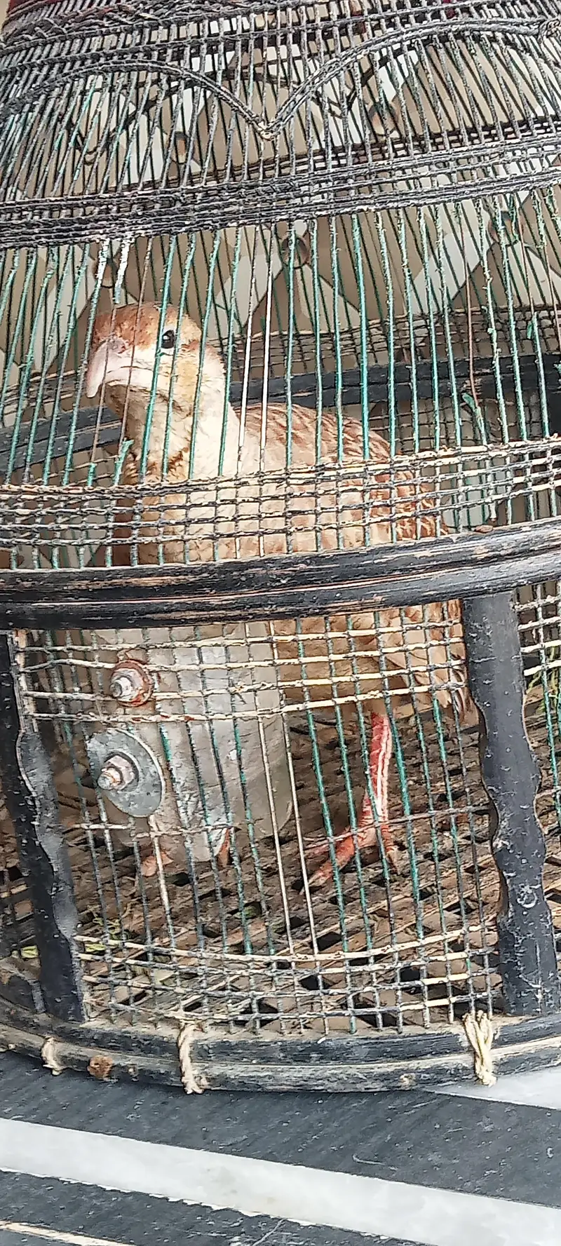 titat for sale . . for you — photo 3