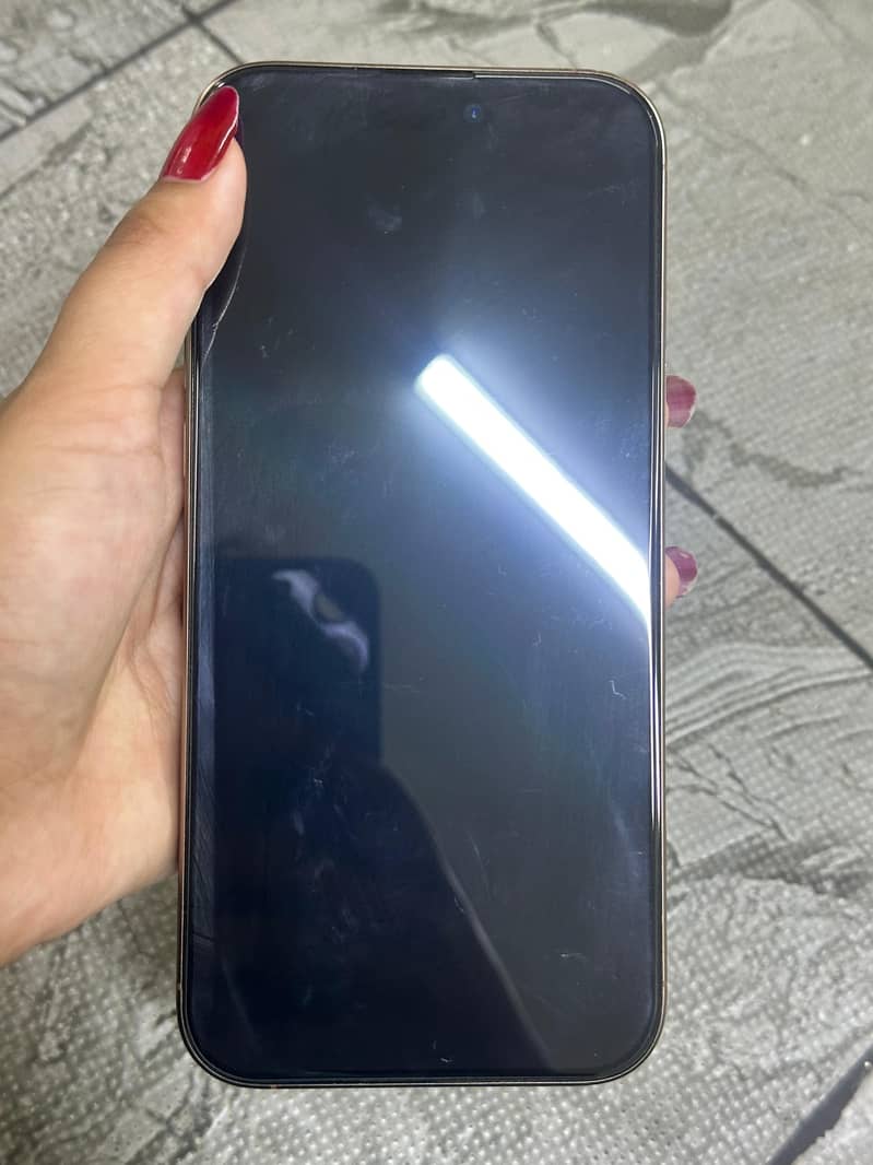 Apple iPhone 16 Pro Max 1