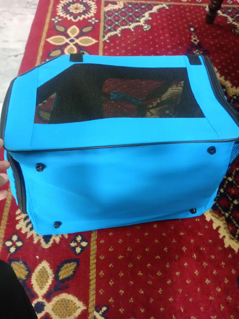 imported pet ( cats & dogs) travelling bag — photo 6