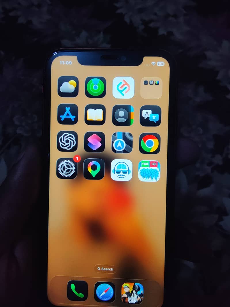 Apple iPhone 11 1