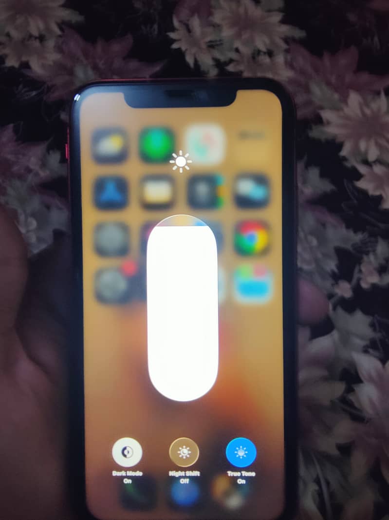 Apple iPhone 11 6