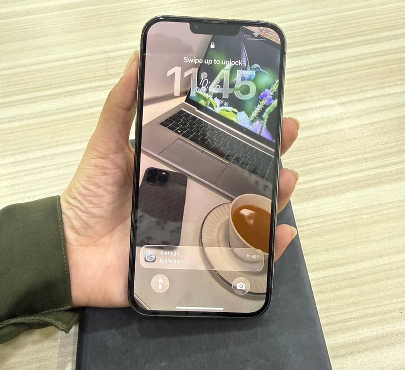 Apple iPhone 13 Pro Max 1