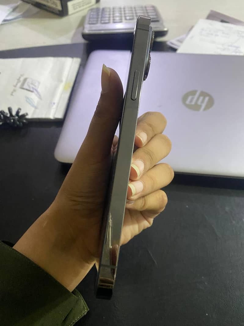 Apple iPhone 13 Pro Max 4