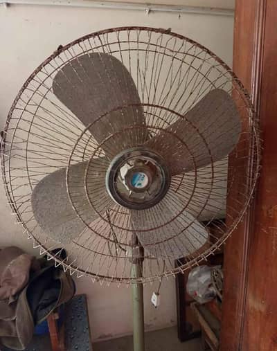 full size Pak pedestal fan
