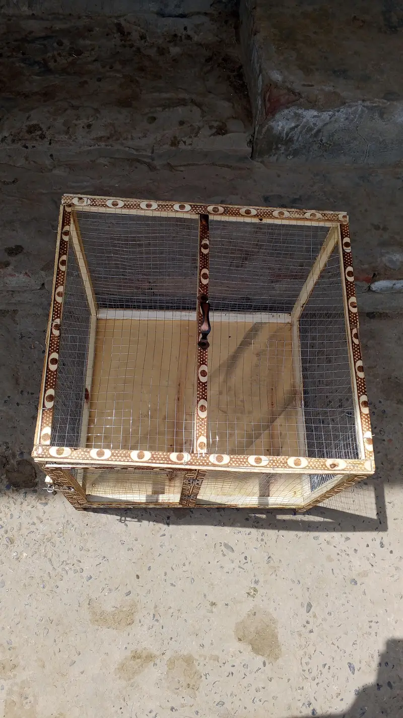 Brand New cages for sale — photo 4