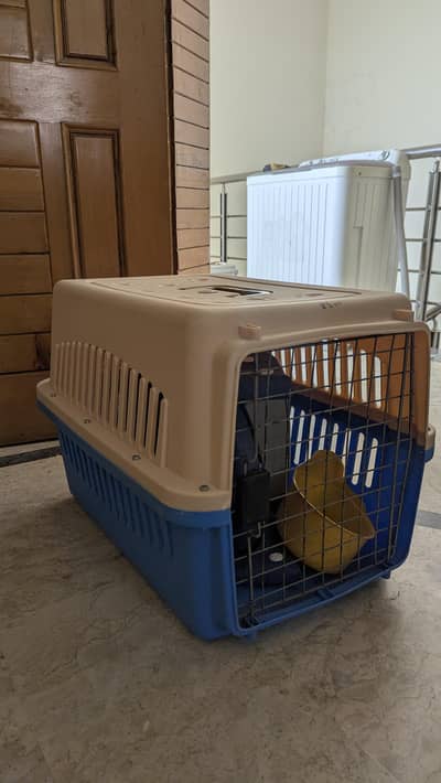 Dog puppy Jet box - For sale