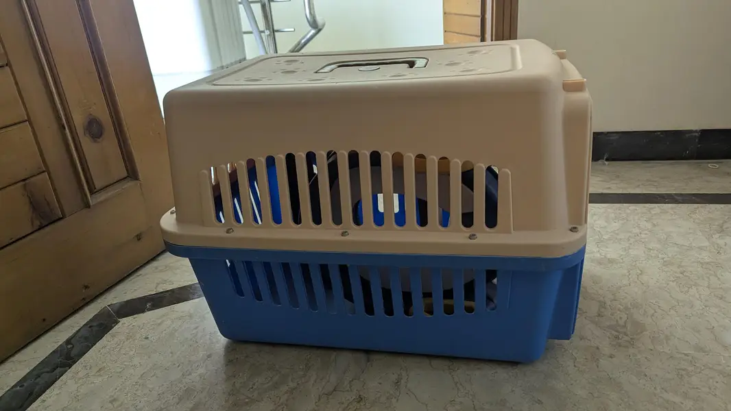 Dog puppy Jet box - For sale — photo 2