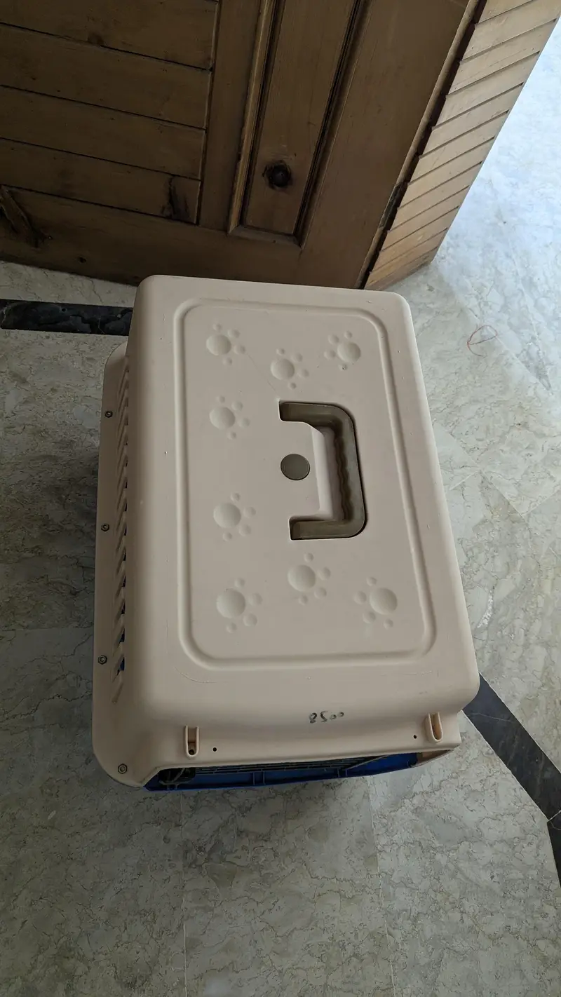 Dog puppy Jet box - For sale — photo 3