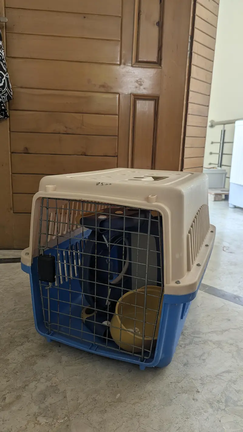 Dog puppy Jet box - For sale — photo 4