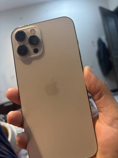 12 pro max