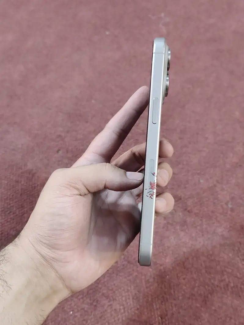 Apple iPhone 15 Pro Max 1
