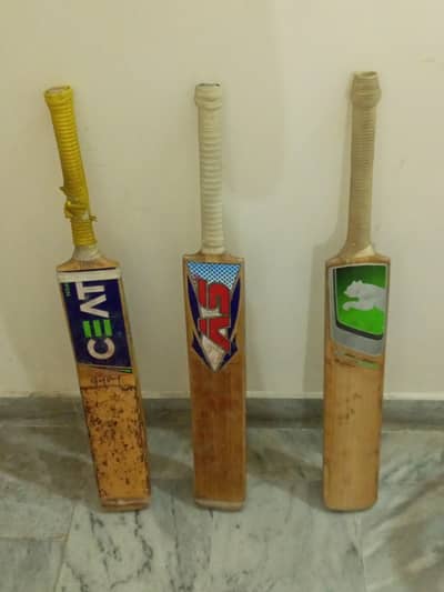 2 English Willow 1 normal practice hardball bat