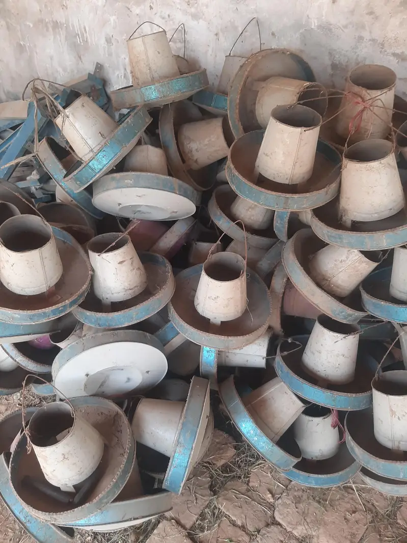 murgiyo k bartan — photo 3