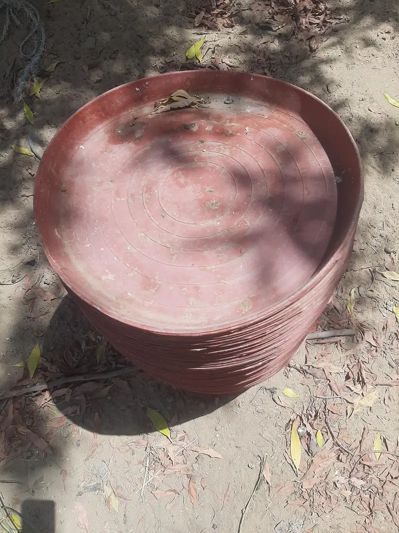 murgiyo k bartan — photo 4