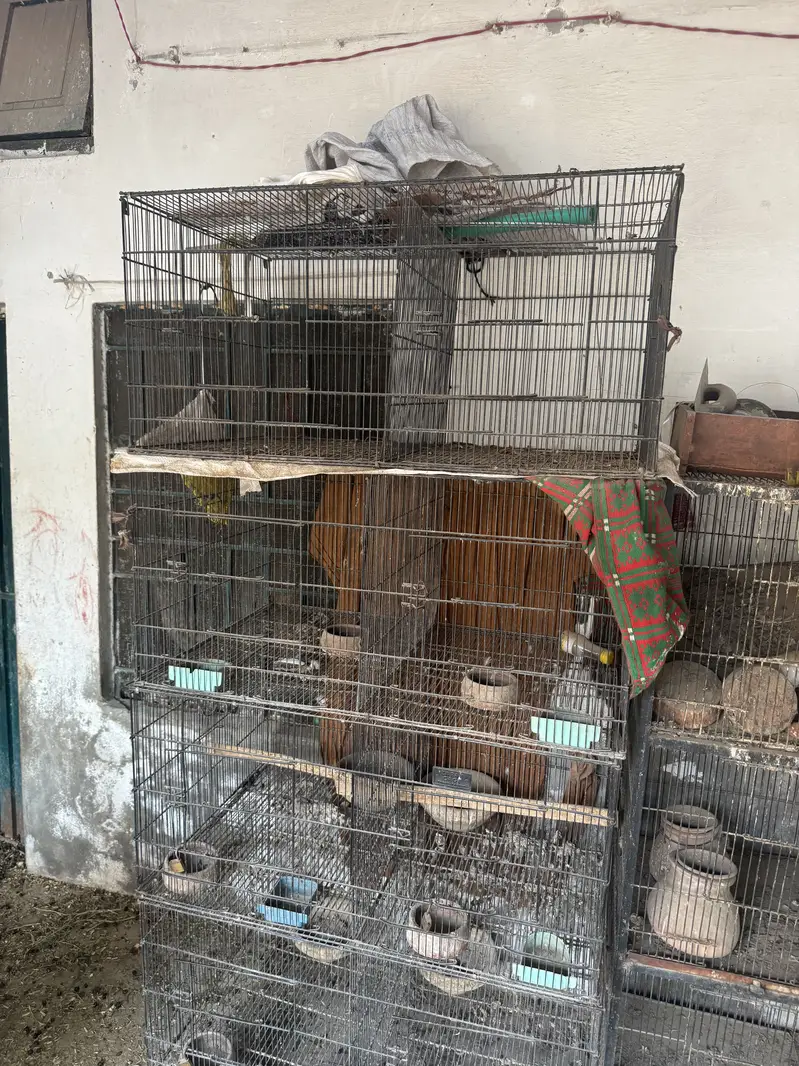 Cage For Sale — photo 2