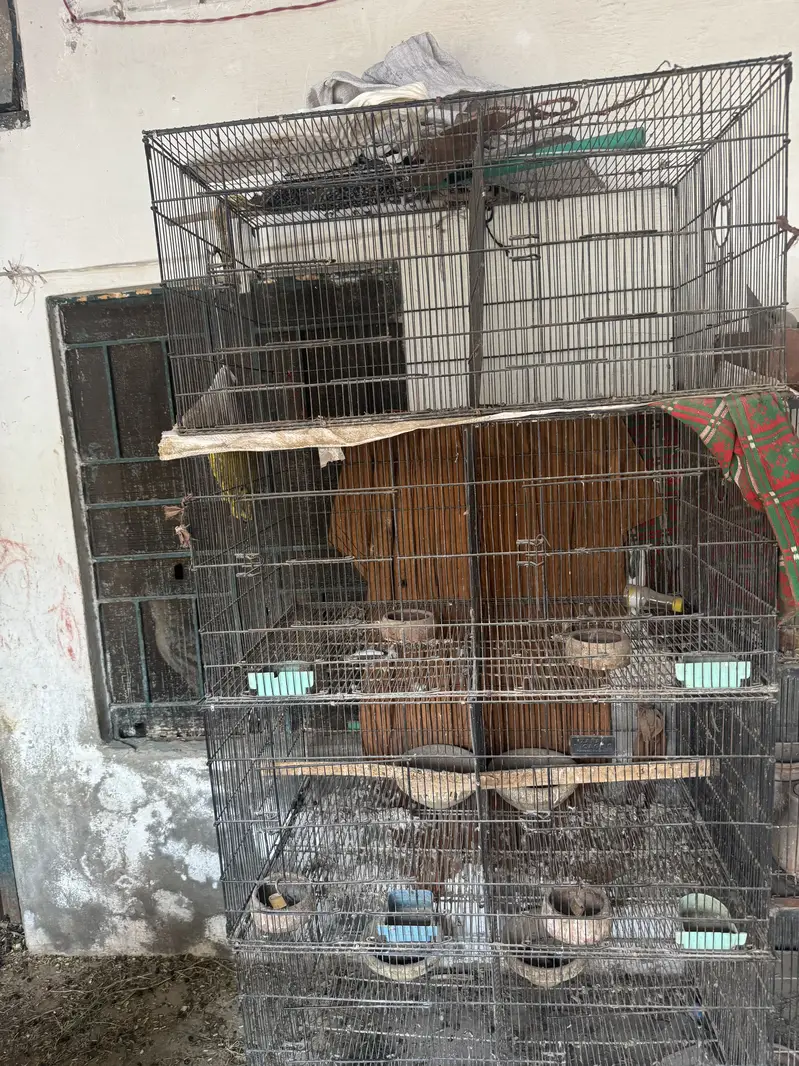 Cage For Sale — photo 3