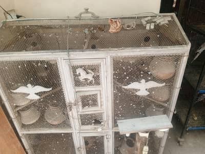 cage for birds