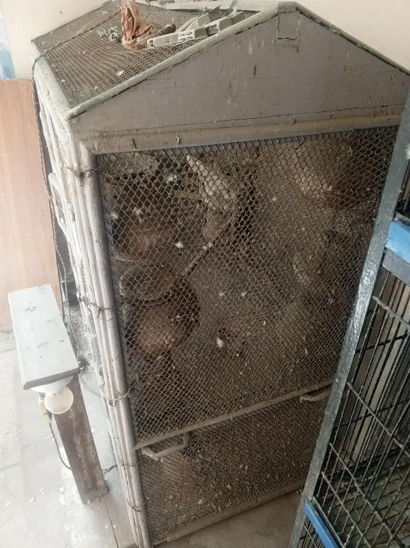 cage for birds — photo 2