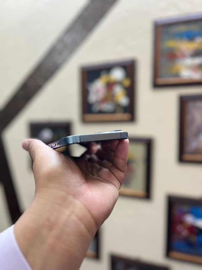 Apple iPhone 13 Pro Max 1
