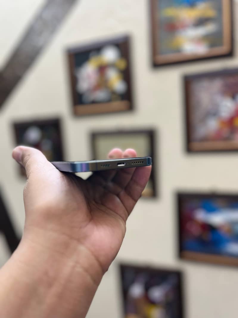 Apple iPhone 13 Pro Max 2