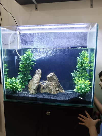 Aquarium and Fish with Cupboard and All Accessories