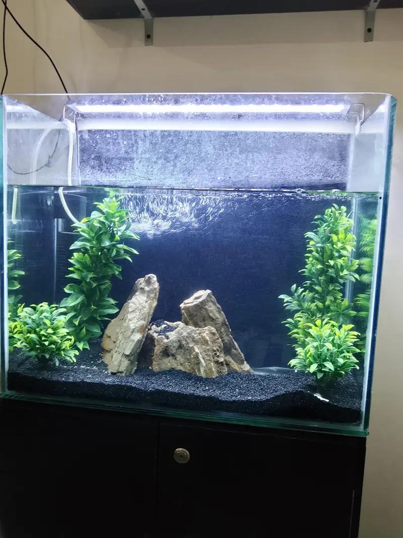 Aquarium and Fish with Cupboard and All Accessories — photo 2