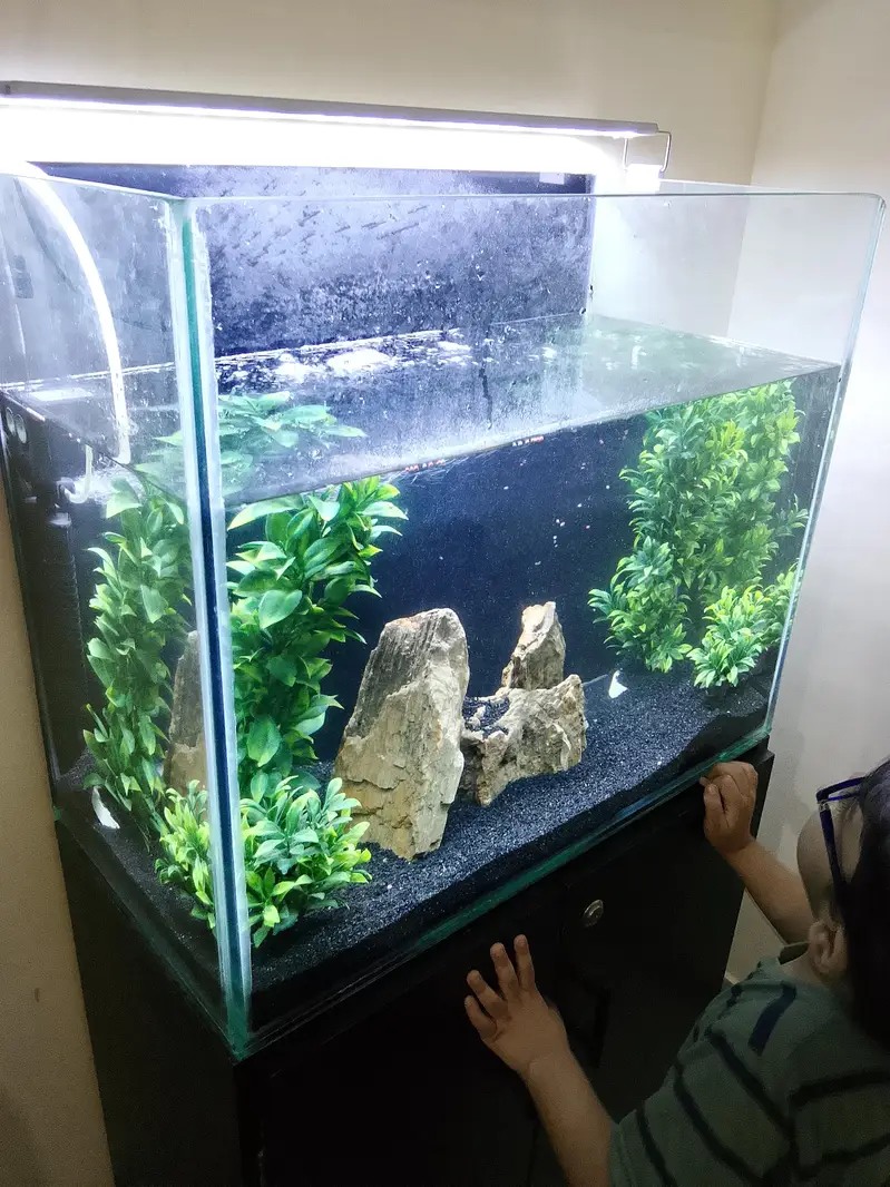 Aquarium and Fish with Cupboard and All Accessories — photo 3