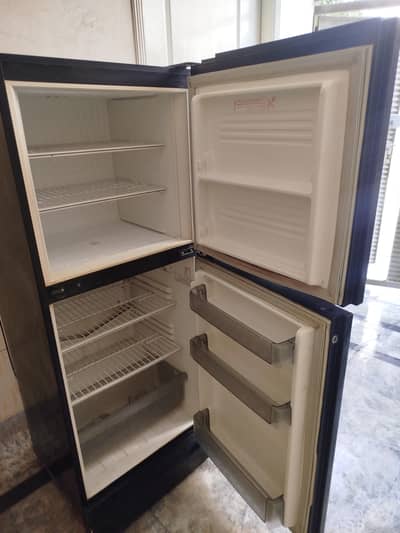 PEL Double door fridge for sale 10/9