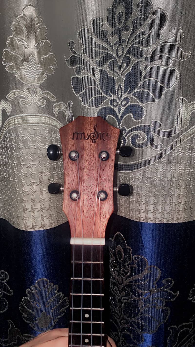 Ukulele 1