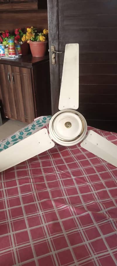 Ceeling Fan