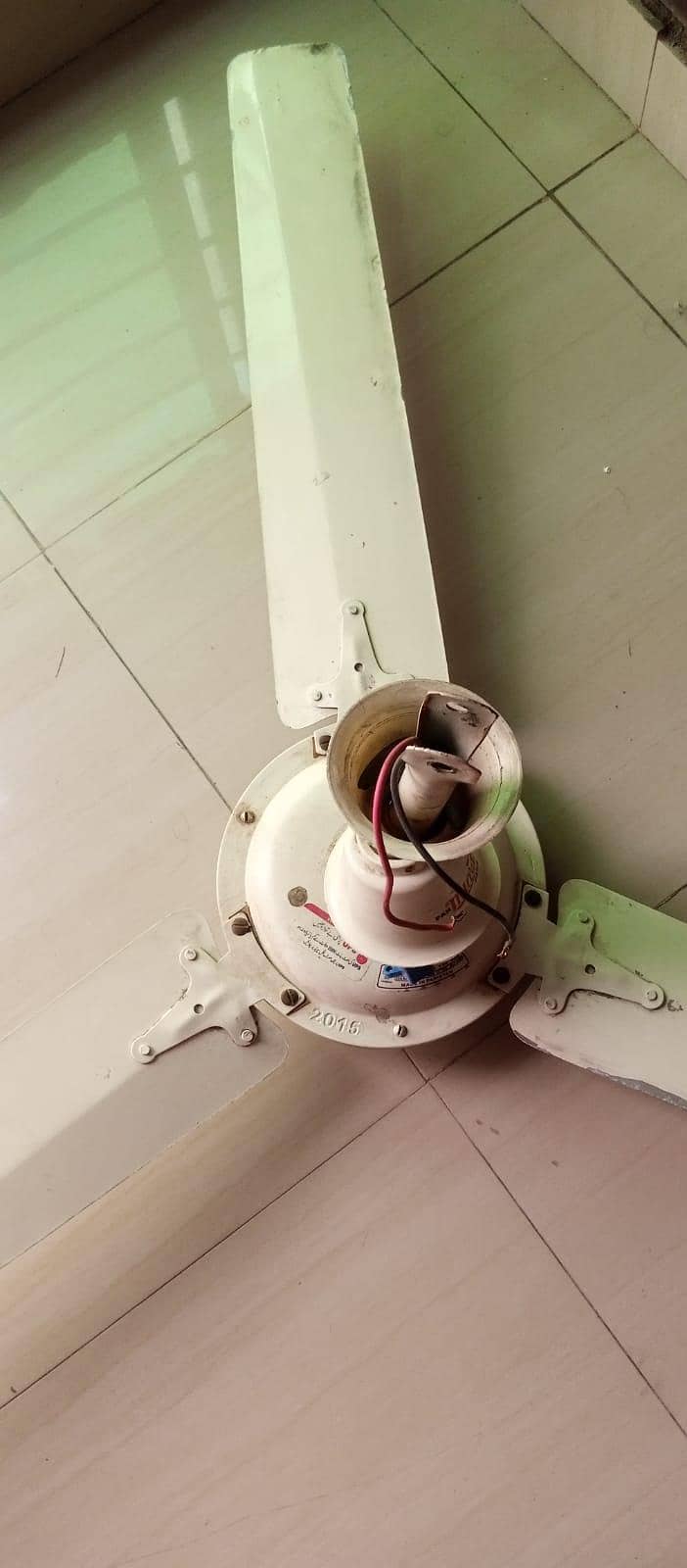 Ceeling Fan 3