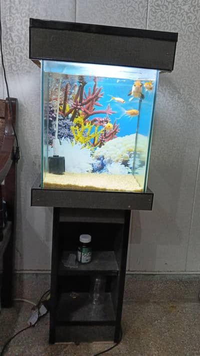 Fish Aquarium for sale