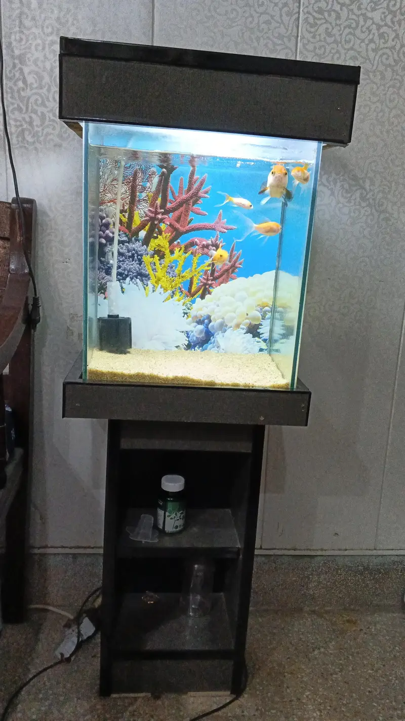 Fish Aquarium for sale