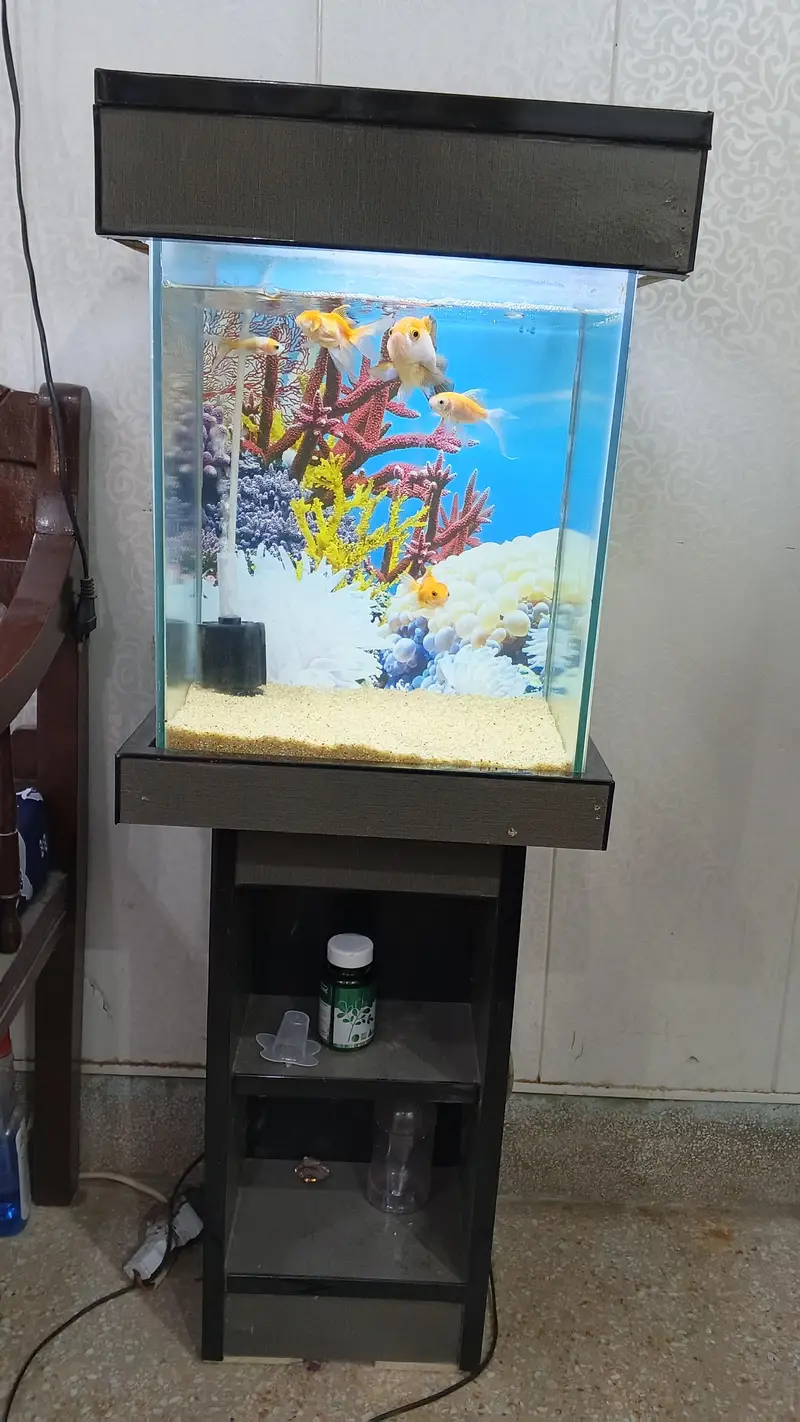 Fish Aquarium for sale — photo 4