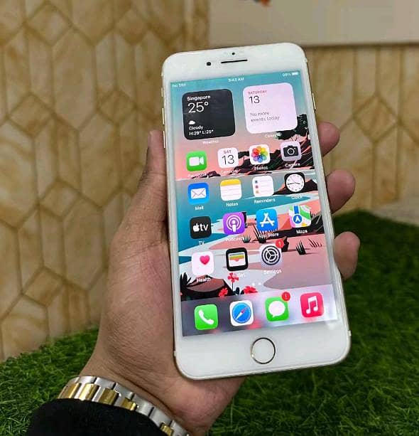Apple iPhone 7 Plus 1