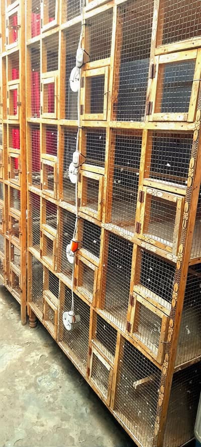 14 portion wooden cage made with heavy material best for finches