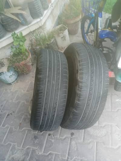 2 tyre hain 195/65/