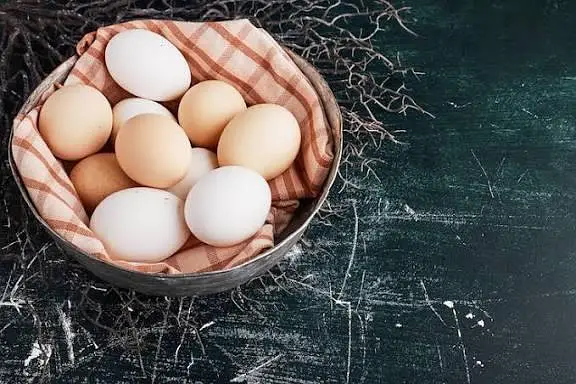 Desi Organic Eggs — photo 2