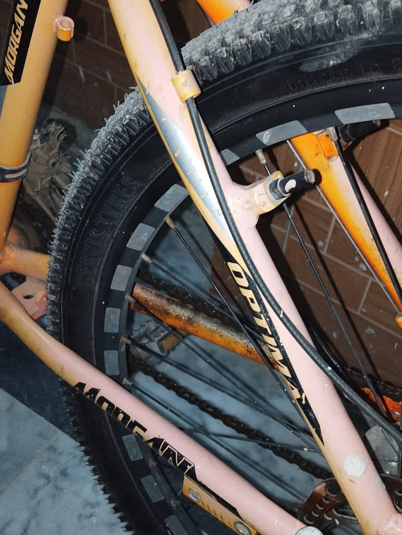 Bicycle 1