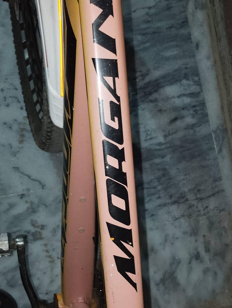 Bicycle 2