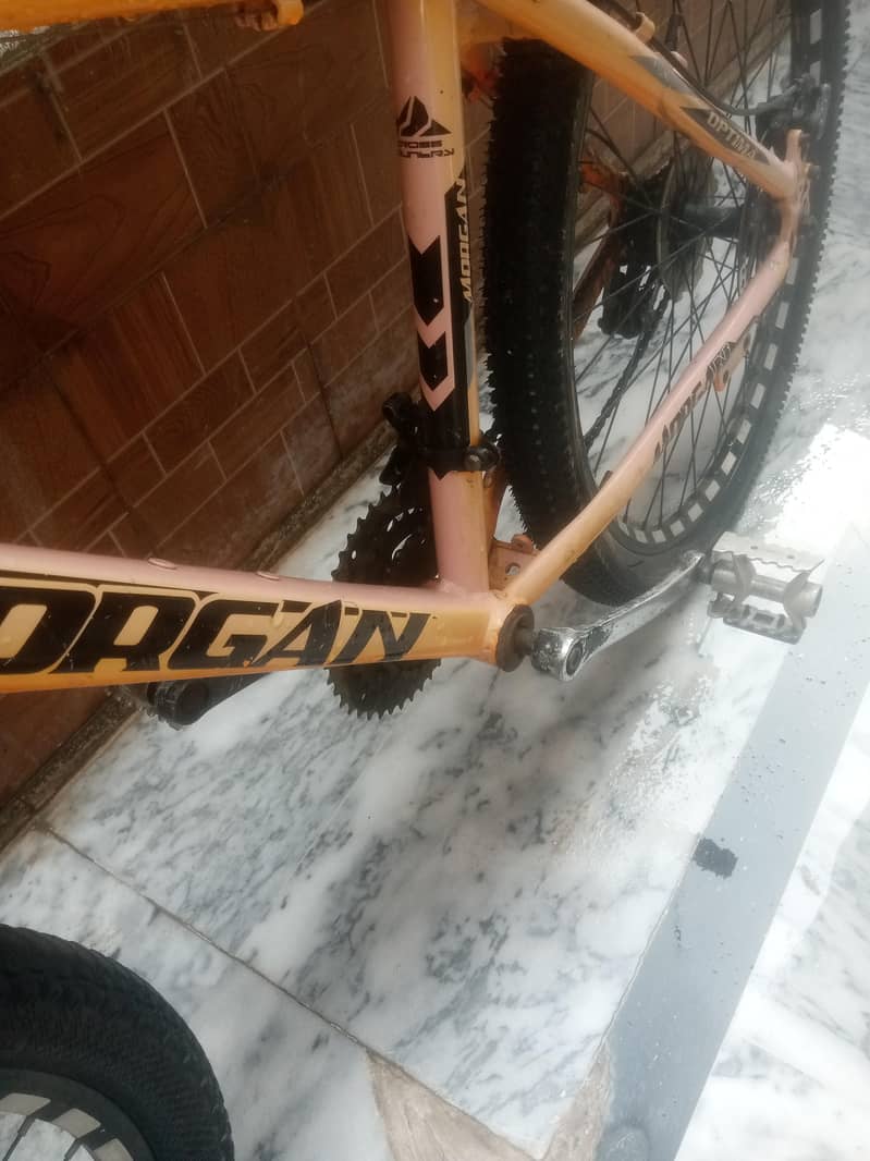 Bicycle 3