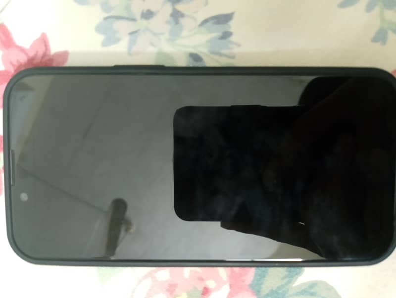Apple iPhone 13 mini 1