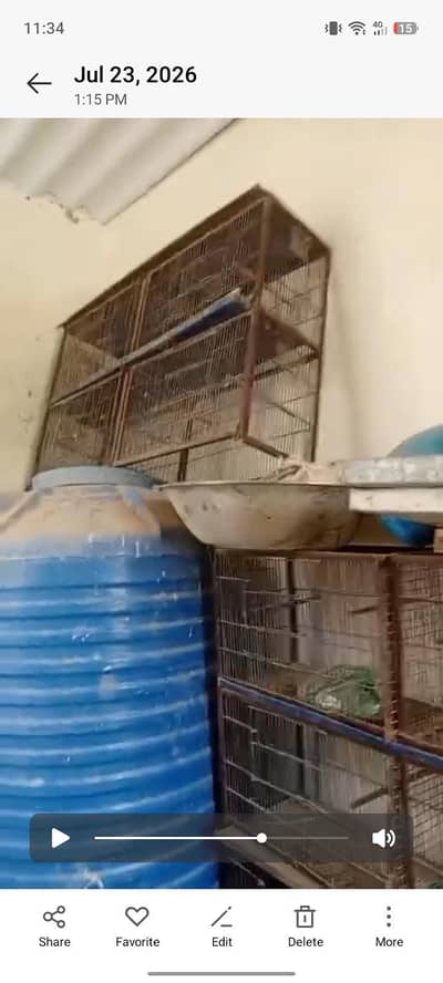 10 podison wala cage 5 podision wala cage