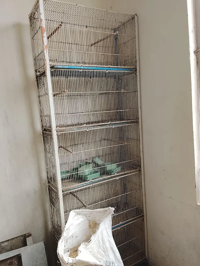 10 podison wala cage 5 podision wala cage — photo 3