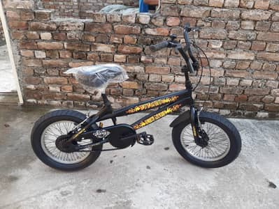 Imported bicycle. . .