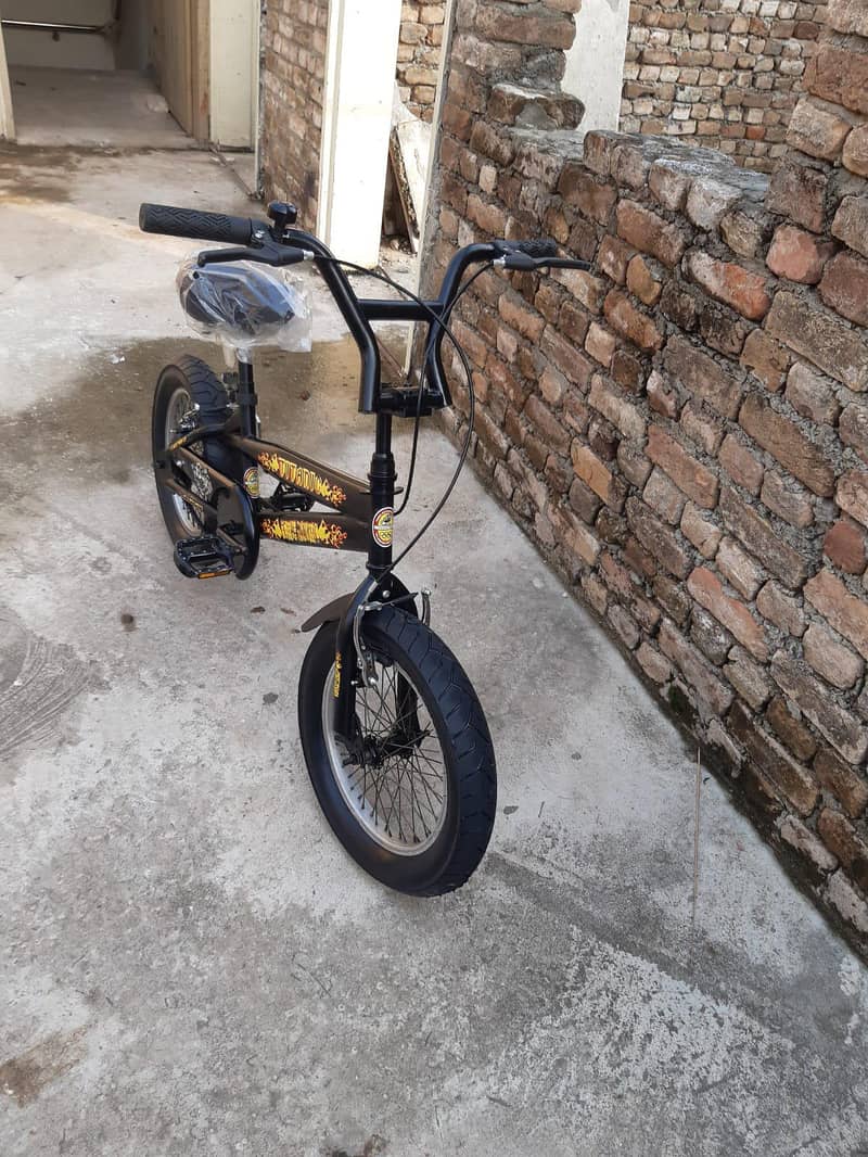 Imported bicycle. . . 4