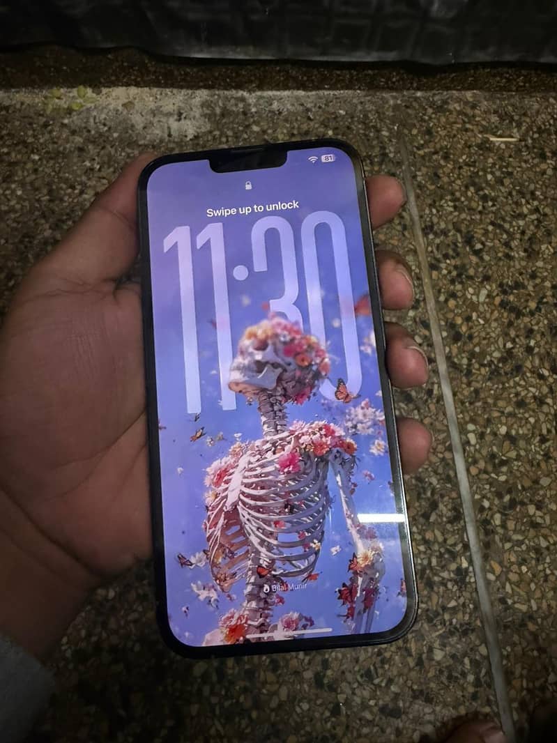 Apple iPhone 13 Pro Max 1