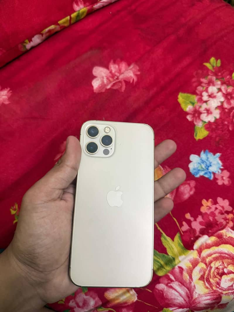 Apple iPhone 12 Pro 1